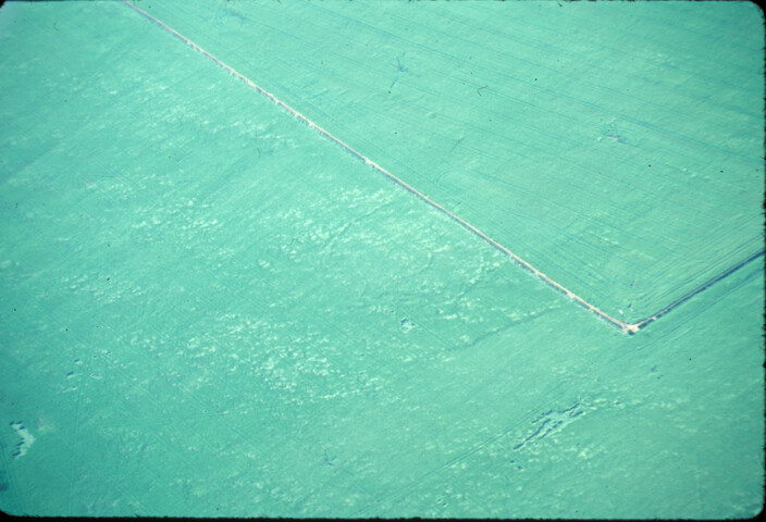 Cotton Henge © WNC